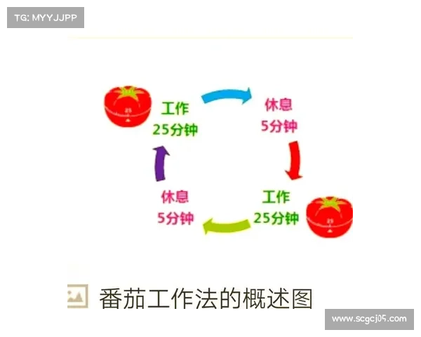 如何高效专注并完成每周任务管理提升工作效率的方法和技巧